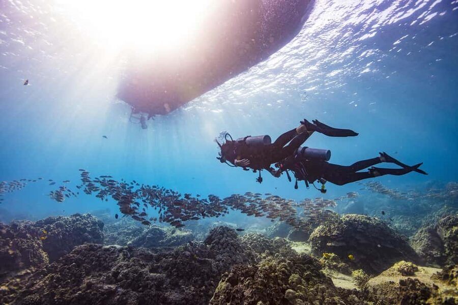 BARCELONA: SCUBA DIVING INITIATION - Dive in and experience underwater adventures - 2 hours - The 45-minute briefing makes the difference