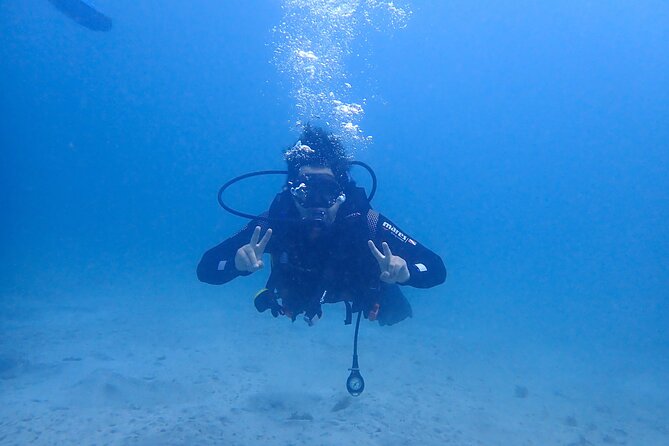 Basic Diver course for beginners with 1 dive in the Ocean - The swimming pool is your practice ground