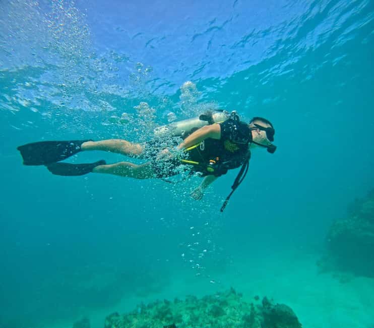 Bávaro: Scuba Diving Experience for Beginners - What the $100 experience really gives you