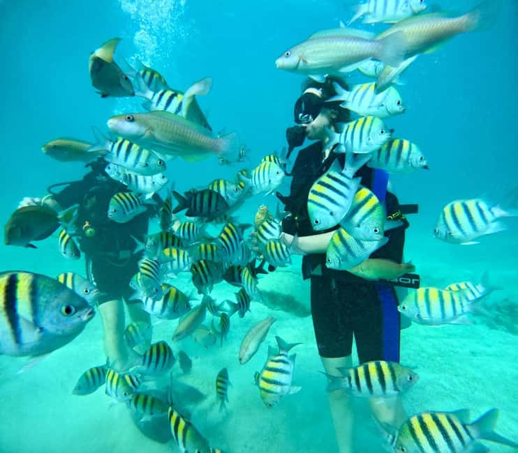 Bávaro: Scuba Diving Experience for Beginners - From Bávaro to the water