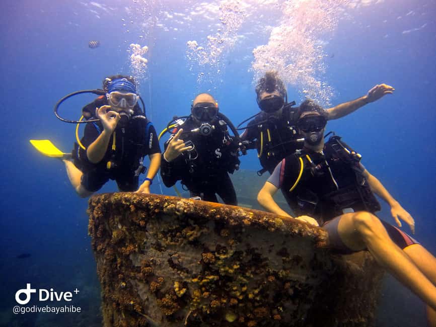 Bayahibe: PADI Open Water Course by Go Dive Bayahibe - Three half-days to your first certification