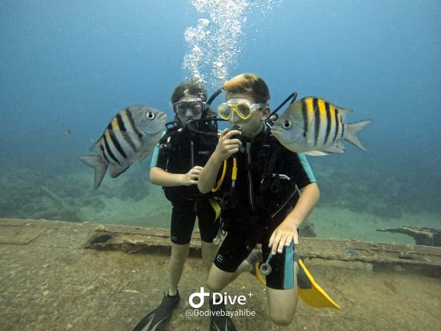 Bayahibe: PADI Open Water Course by Go Dive Bayahibe - Chicho Cave adds a memorable edge