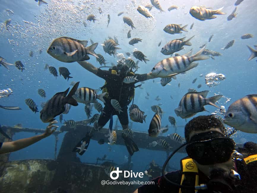 Bayahibe: PADI Open Water Course by Go Dive Bayahibe - FAQ