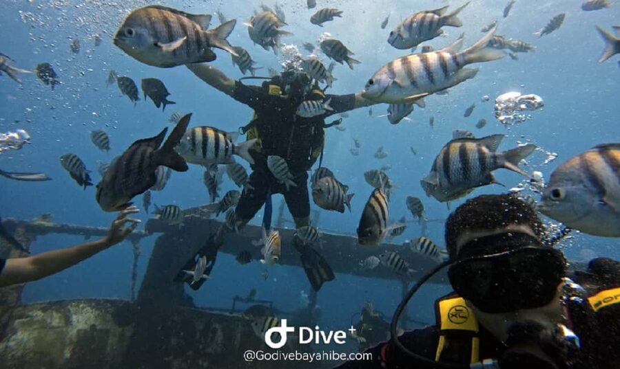 Bayahibe: Scuba Diving Initiation by Go Dive Bayahibe - Why this Bayahibe introduction works for beginners