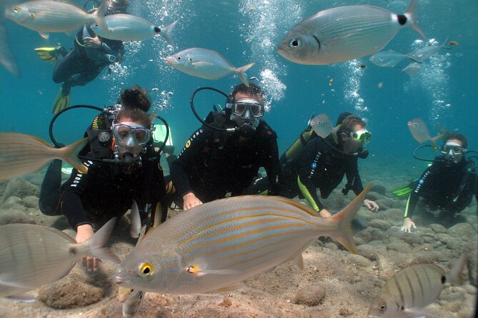 Beginner dive from Playa Chica with Instructor - The 15-minute briefing before getting wet