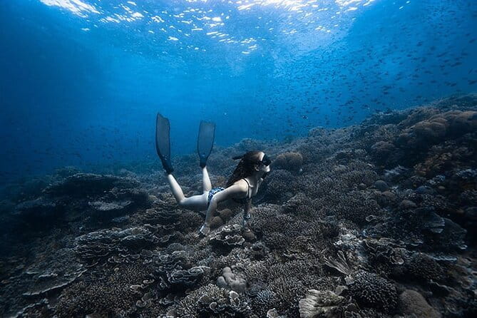 Beginner Freediving Course (with Bonus Session) - Key points to know before booking