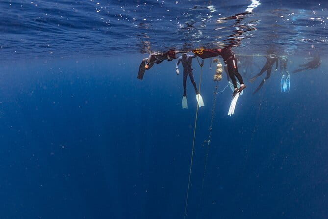 Beginner Freediving Course (with Bonus Session) - What is included, and what you still pay for