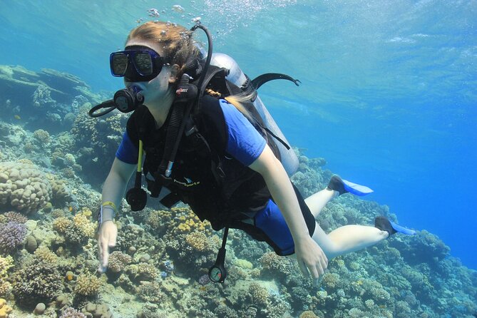Beginner Scuba Dive 2 diving Stops & Lunch Boat Trip - El Quseir - Two Red Sea stops in one full day