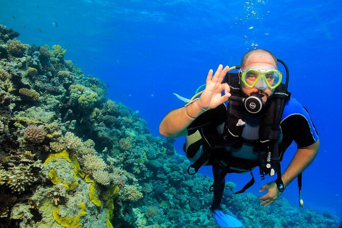 Beginner Scuba Dive 2 diving Stops & Lunch Boat Trip - El Quseir - Is $72 a fair price?