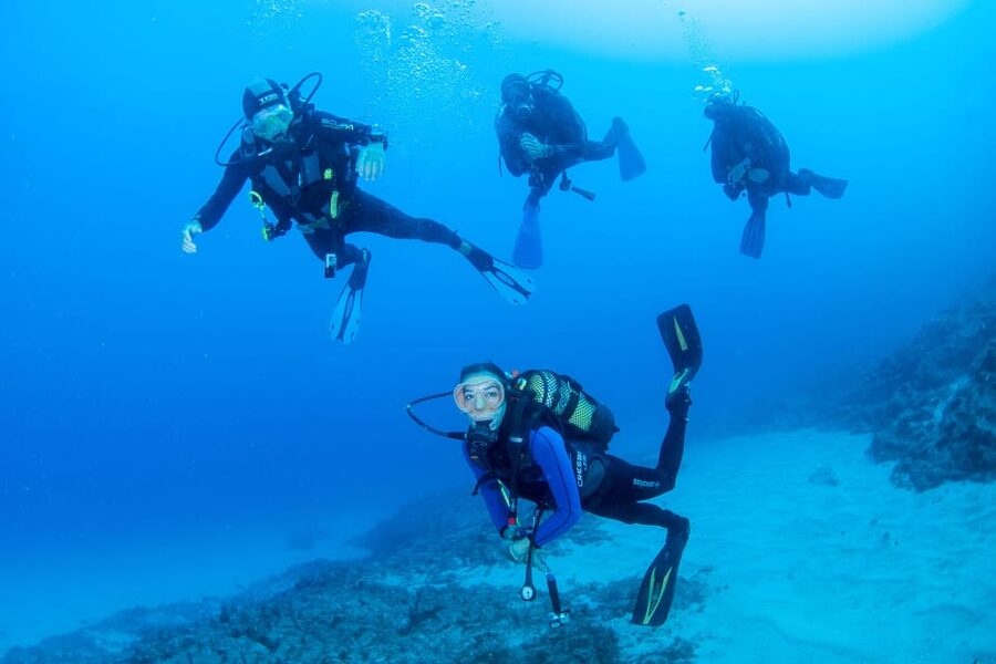 Beginner Scuba Dive with Scubapoint Tenerife in Turtle Area - Key points at a glance