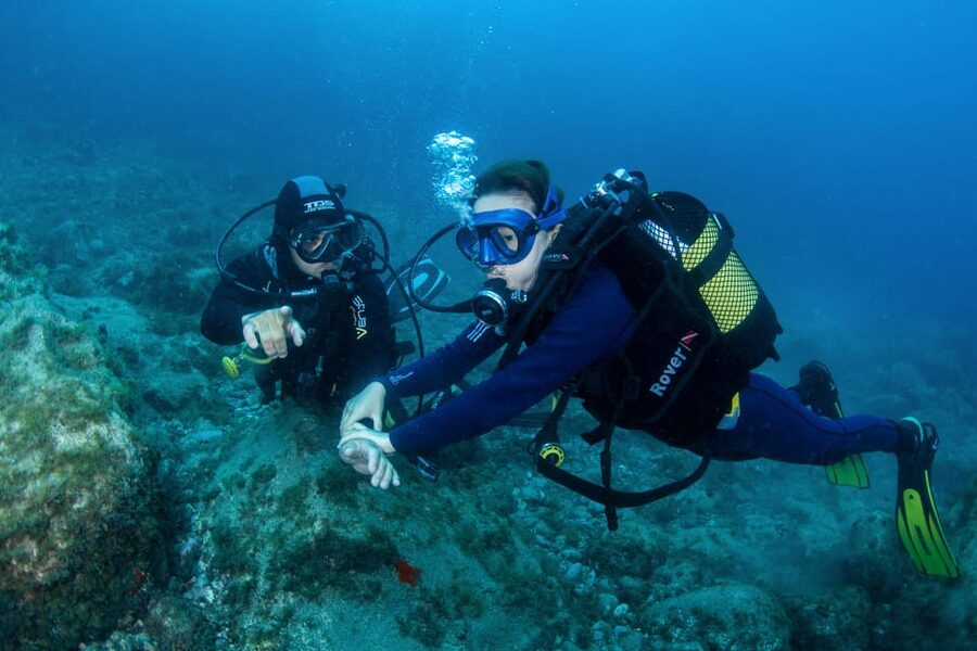 Beginner Scuba Dive with Scubapoint Tenerife in Turtle Area - Why this Tenerife session works for beginners