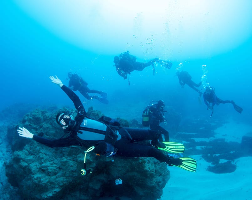 Beginner Scuba Dive with Scubapoint Tenerife in Turtle Area - Learning the basics before entering the water