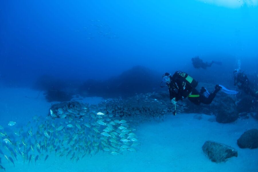 Beginner Scuba Dive with Scubapoint Tenerife in Turtle Area - Who should book this first scuba session
