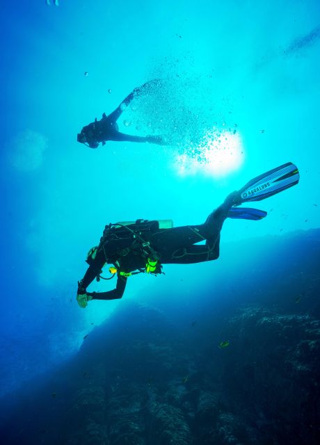 Beginner Scuba Dive with Scubapoint Tenerife in Turtle Area - Meeting at Puerto Colón and getting ready