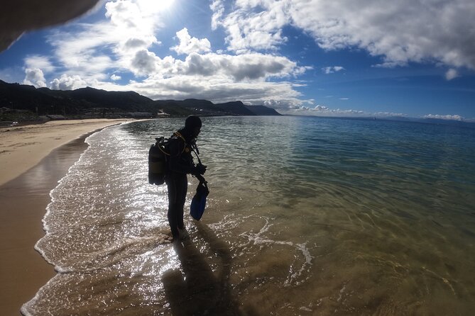 Beginner Scuba Diving Experience in Simonstown. - Starting at Jubilee Square in Simon’s Town