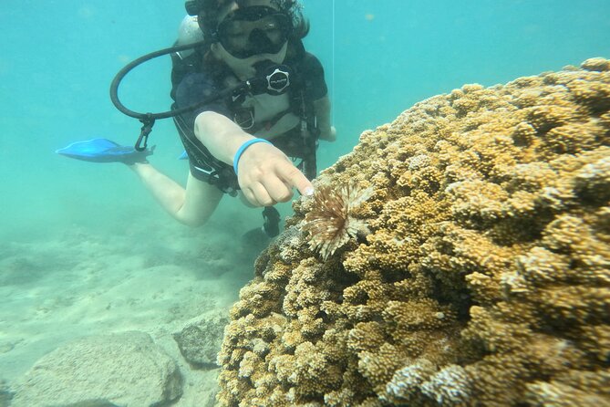 Beginner Scuba Diving Experience with Video Package in Honolulu - Magic Island Lagoon is a smart place to start