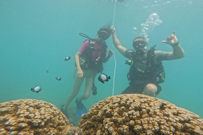 Beginner Scuba Diving Experience with Video Package in Honolulu - Kyle’s teaching style is the heart of the experience