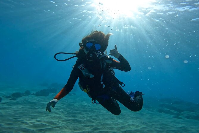 Beginner Scuba Diving Experience with Video Package in Honolulu - Who should book this Magic Island experience