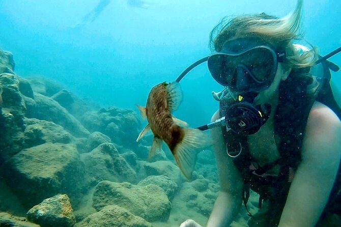 Beginner Scuba Diving Experience With Videos in West Palm Beach - Starting at Riviera Beach with the basics
