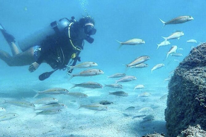Beginner Scuba Diving Experience With Videos in West Palm Beach - Who will enjoy this most?