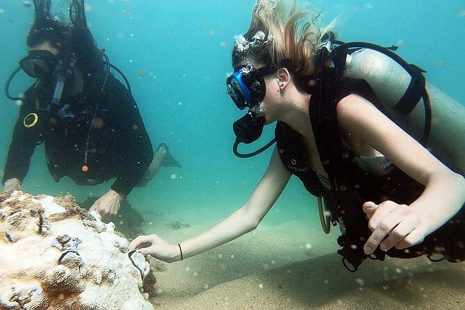 Beginner Scuba Diving Experience With Videos in West Palm Beach - Three feet of water is the right place to begin