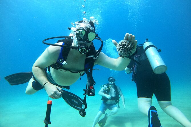 Beginner Scuba Diving Guided Tour - No Experience Required - Starting at 564 Black Eagle Road in Rincón