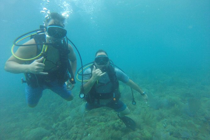 Beginner Scuba Diving Guided Tour - No Experience Required - From gear fitting to underwater time