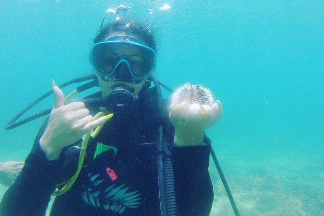 Beginner Scuba Diving Guided Tour - No Experience Required - Photos and video add useful value