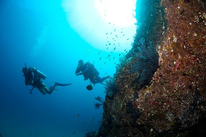 Beginner Scuba Diving in Cabo San Lucas - Meeting Martin, Angela, Julio, and the Rest of the Team