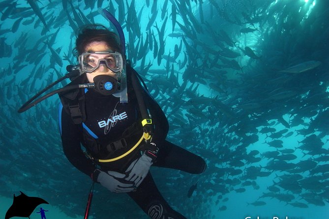 Beginner Scuba Diving in Cabo San Lucas - The Arch of Cabo San Lucas by Boat