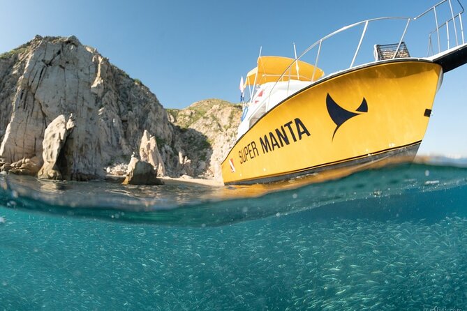 Beginner Scuba Diving in Cabo San Lucas - Who Should Book This and Who Should Think Twice