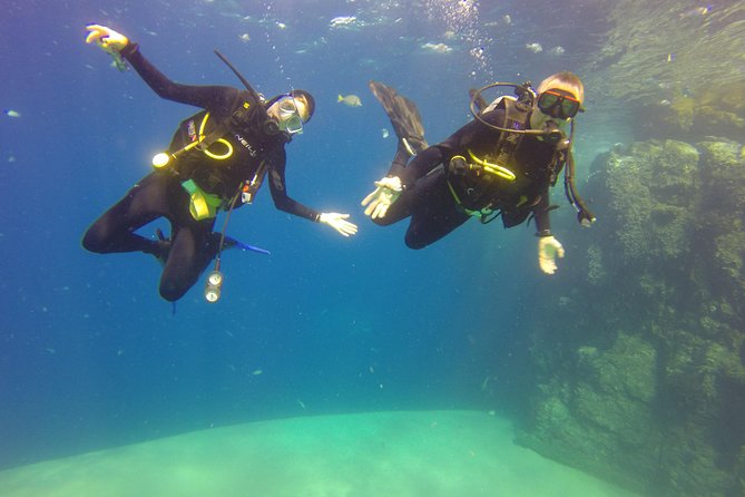 Beginner Scuba Diving in Cabo San Lucas - Check-In, Medical Form, and Gear Preparation