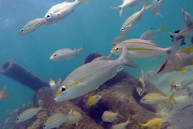 Beginner Scuba Diving with Turtles and Videos, San Juan - The main risk: conditions can change the whole outing