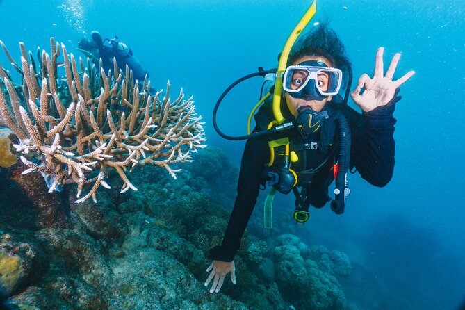 Beginners Scuba Diving, 2 Stops, Full Day Trip & Lunch - Hurghada - Key points to know before booking