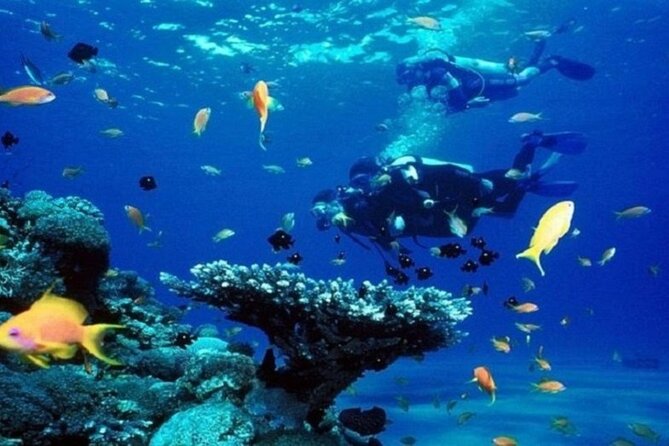 Beginners Scuba Diving, 2 Stops, Full Day Trip & Lunch - Hurghada - Equipment and instruction for first-timers