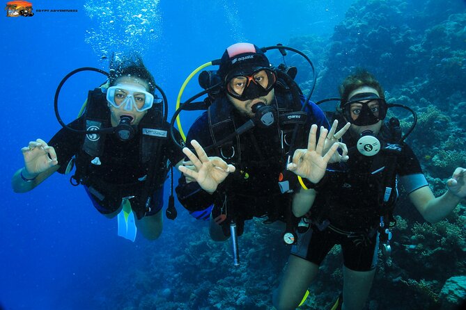 Beginners Scuba Diving Boat Trip With Equipment & lunch -Hurghada - Hotel pickup and the 8:00 am start