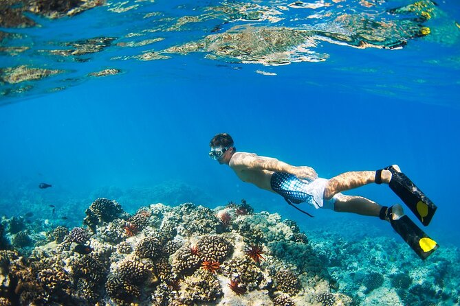 Beginners Scuba Diving Boat Trip With Equipment & lunch -Hurghada - Group size, pace, and the feel of the day