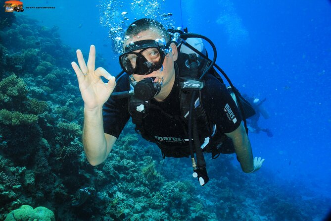 Beginners Scuba Diving Boat Trip With Equipment & lunch -Hurghada - What makes the two Red Sea stops worthwhile