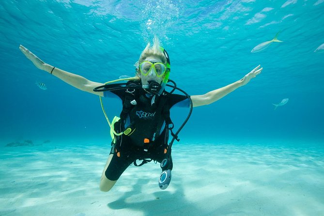 Beginners Scuba Diving Experience in Gran Canaria - Starting at the Blue Water Diving meeting point