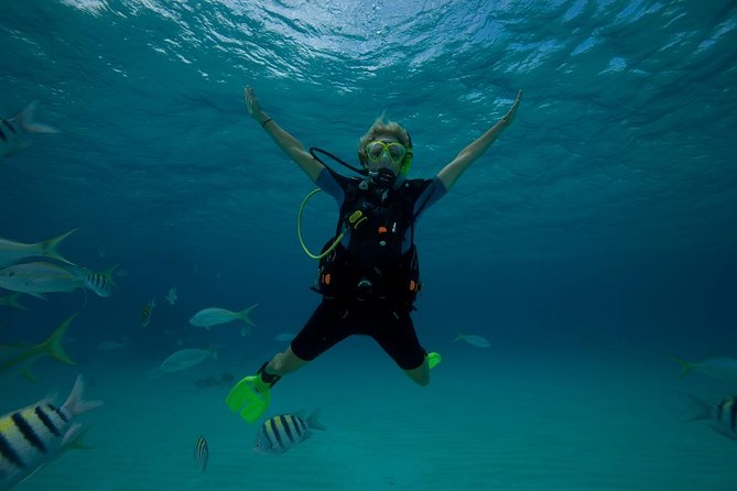 Beginners Scuba Diving Experience in Gran Canaria - Heading to the reef and meeting the fish