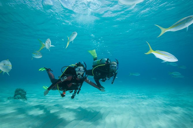 Beginners Scuba Diving Experience in Gran Canaria - Paperwork, health checks, and equipment fitting