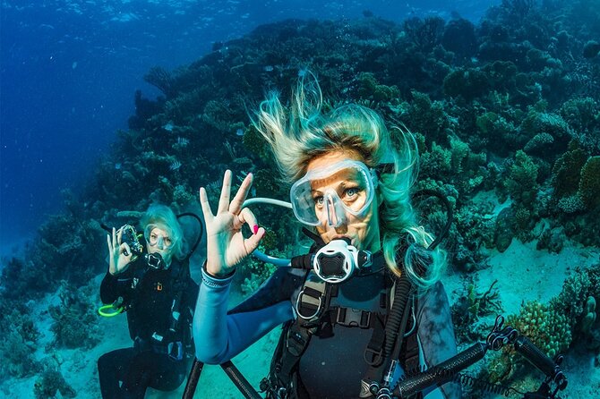 Belek Scuba Diving Experience (2 Dives) With Lunch - Group Size, Comfort, and Who Will Enjoy It