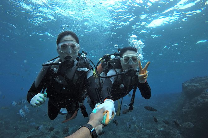 Blue Cave Area Experience Diving!Free feeding & photo images Chinese guide available!1 group with a dedicated instructor - A glowing cave with a practical Okinawa catch