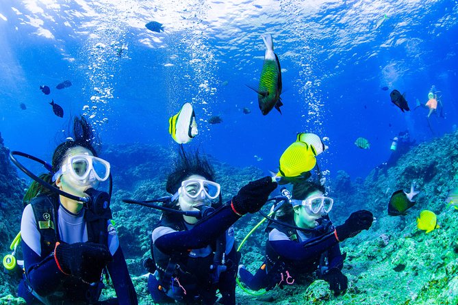 Blue Cave Introductory Dive–Private Guide, Boat Tour&Free Photos - Cape Maeda and the route to the Blue Cave