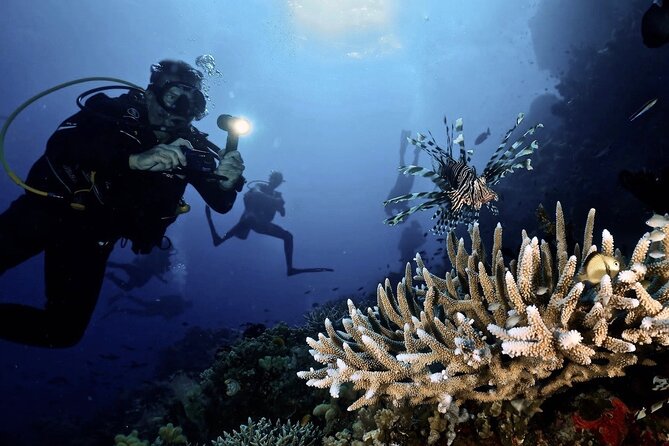 Blue Dive Private Guided Scuba Dive Cairns - What the Underwater Time Feels Like