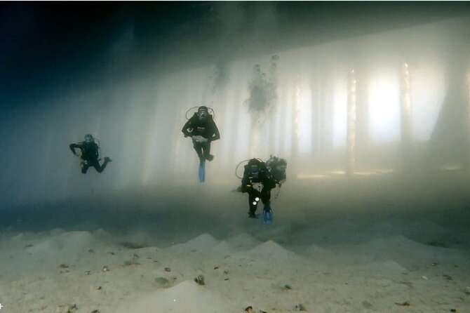 Boat Dive 2 Guided Dives with Lunch Included wreck dive&reef dive - Starting around 10:00 a.m. in Aqaba