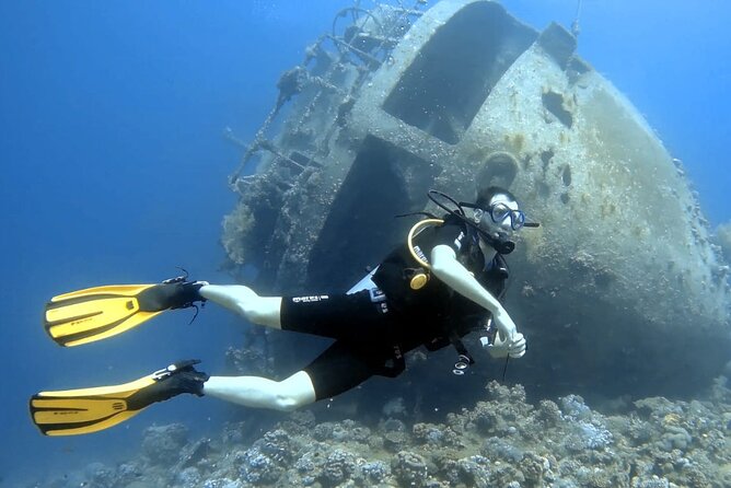 Boat Dive 2 Guided Dives with Lunch Included wreck dive&reef dive - Exploring the wreck site