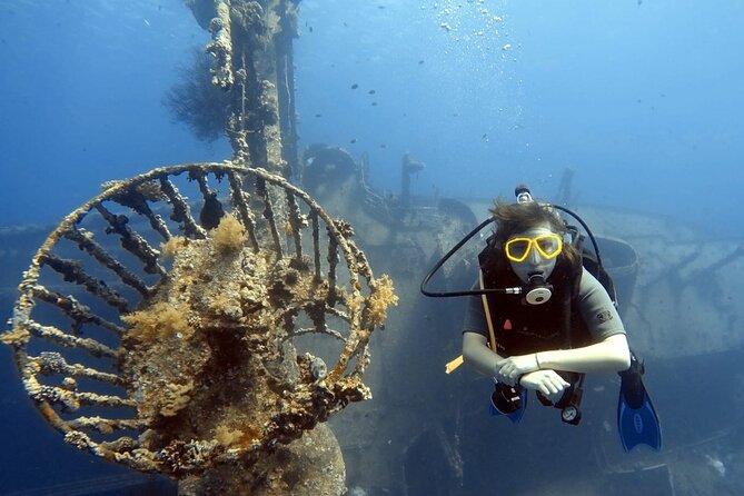 Boat Dive 2 Guided Dives with Lunch Included wreck dive&reef dive - What the $170 price really covers