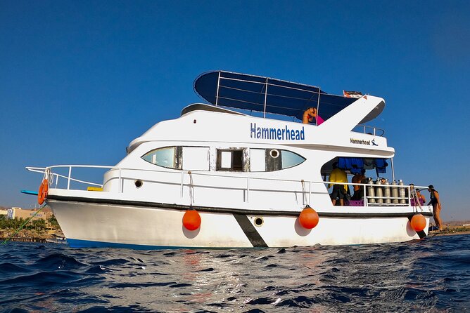 Boat Dive and Snorkeling Experience in Aqaba - The guided scuba session and a calm start