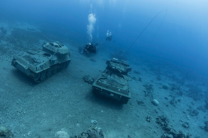 Boat Dive and Snorkeling Experience in Aqaba - Lunch on board, with time to recharge